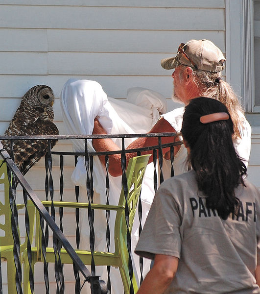 To “Catch an Owl” News, Sports, Jobs TamaToledo News Chronicle